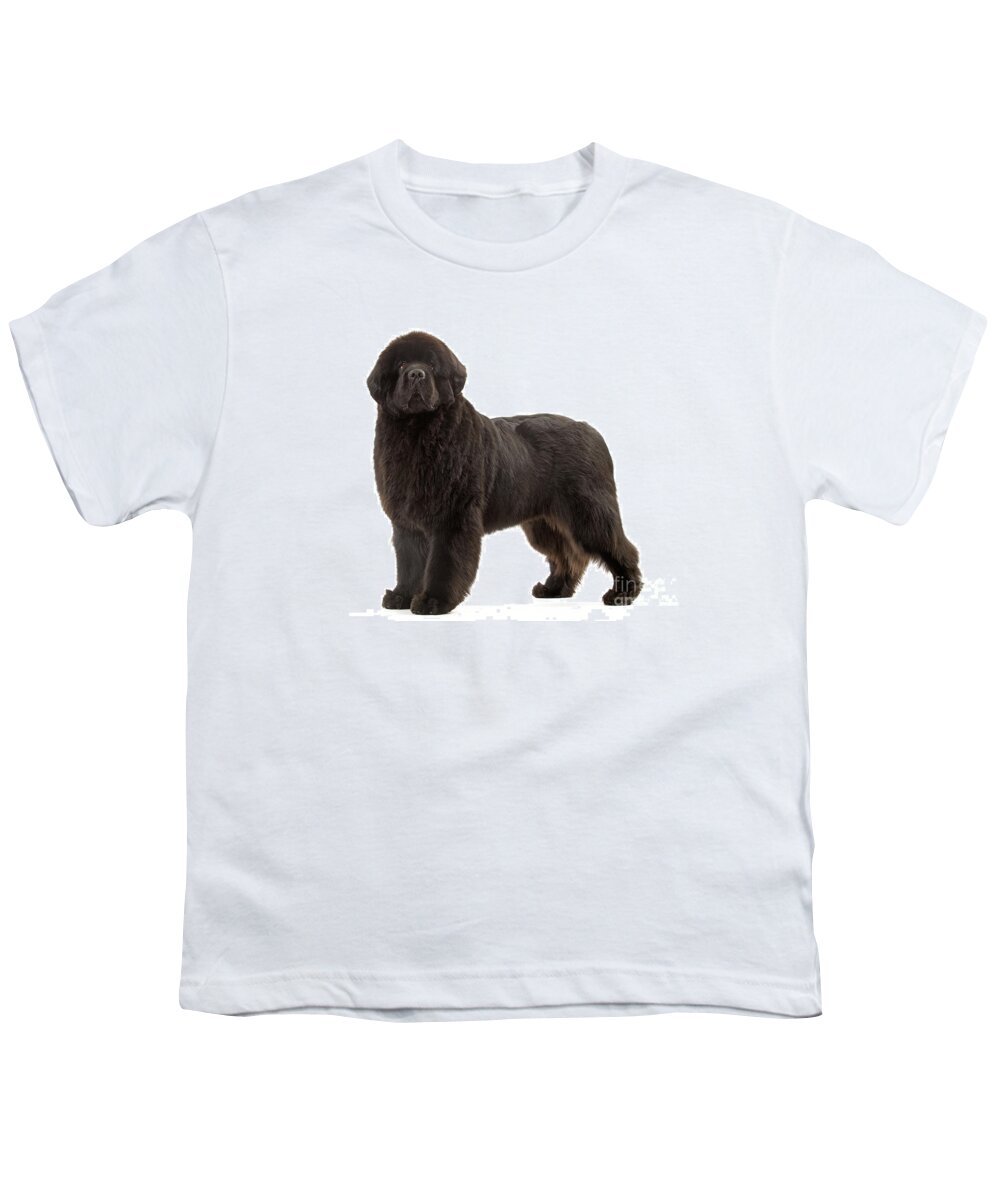 Dog Youth T-Shirt featuring the photograph Newfoundland Puppy Dog by Jean-Michel Labat
