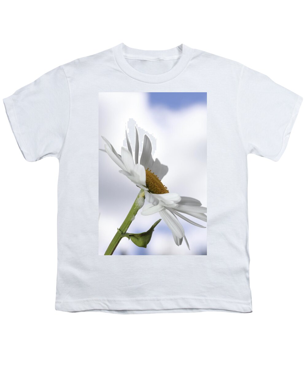 Asteraceae Youth T-Shirt featuring the photograph Oxeye daisy by Ulrich Kunst And Bettina Scheidulin