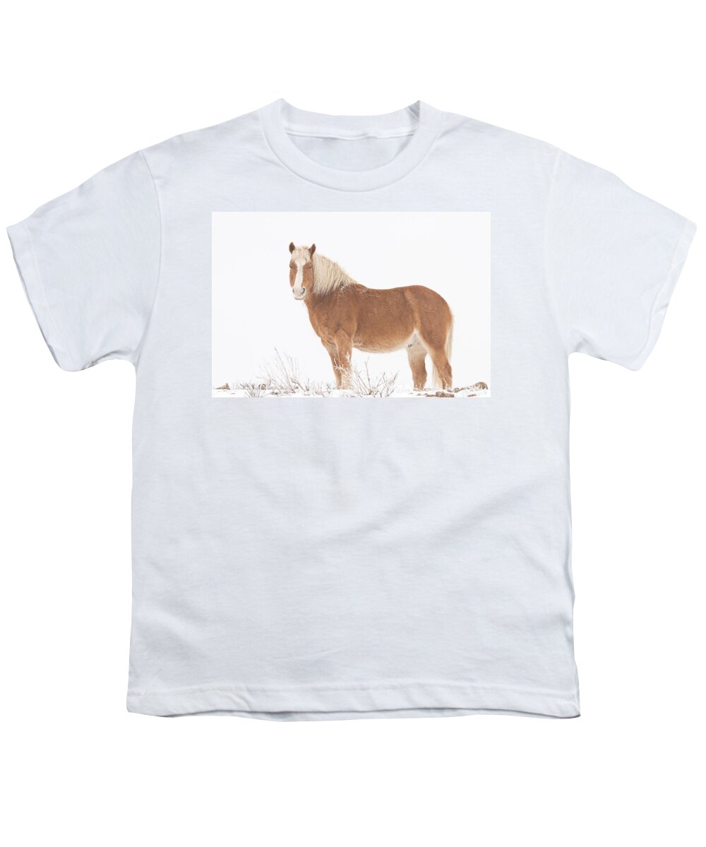 Palomino Youth T-Shirt featuring the photograph Palomino Horse in the Snow by James BO Insogna