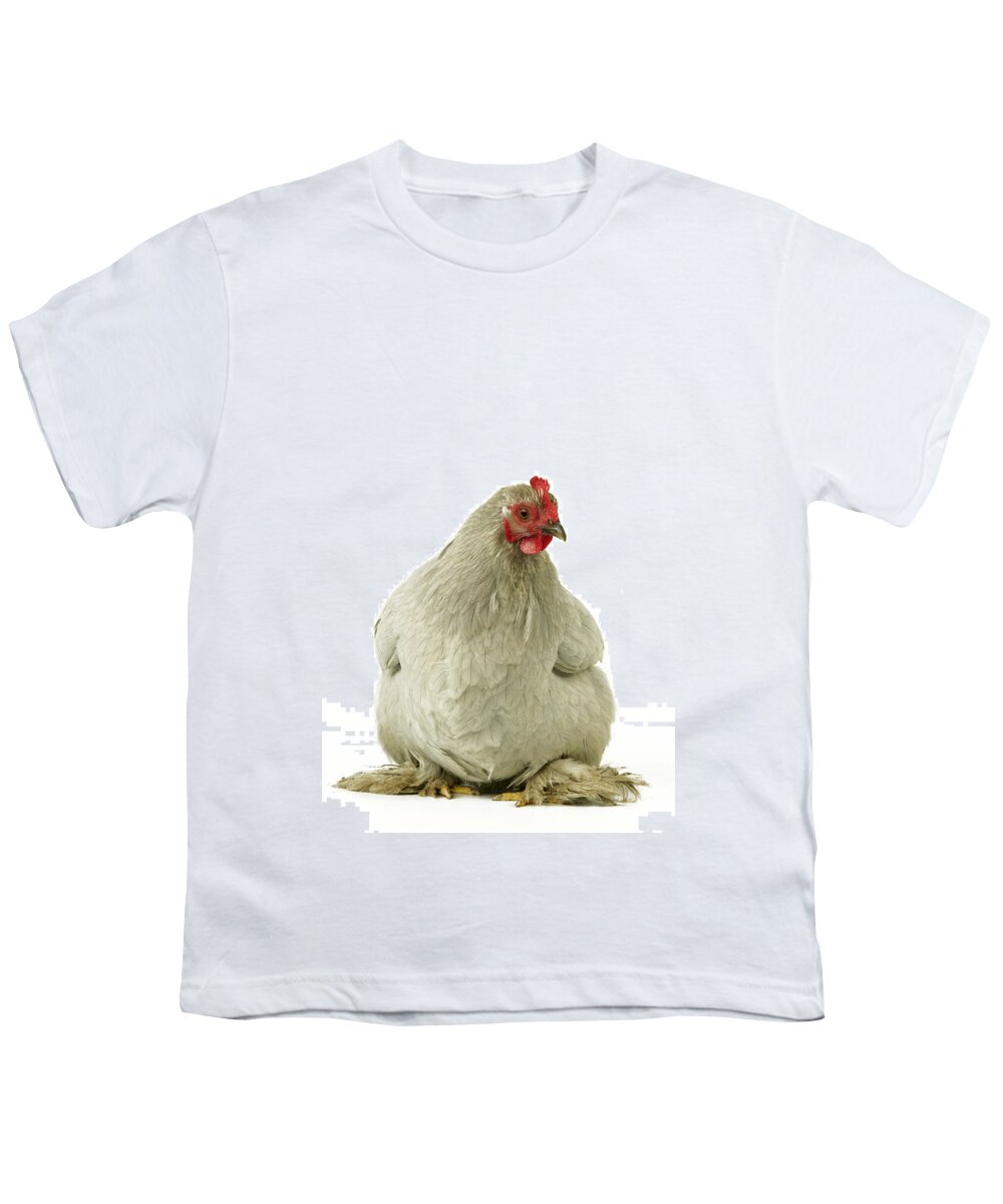Chicken Youth T-Shirt featuring the photograph Pekin Chicken by Jean-Michel Labat