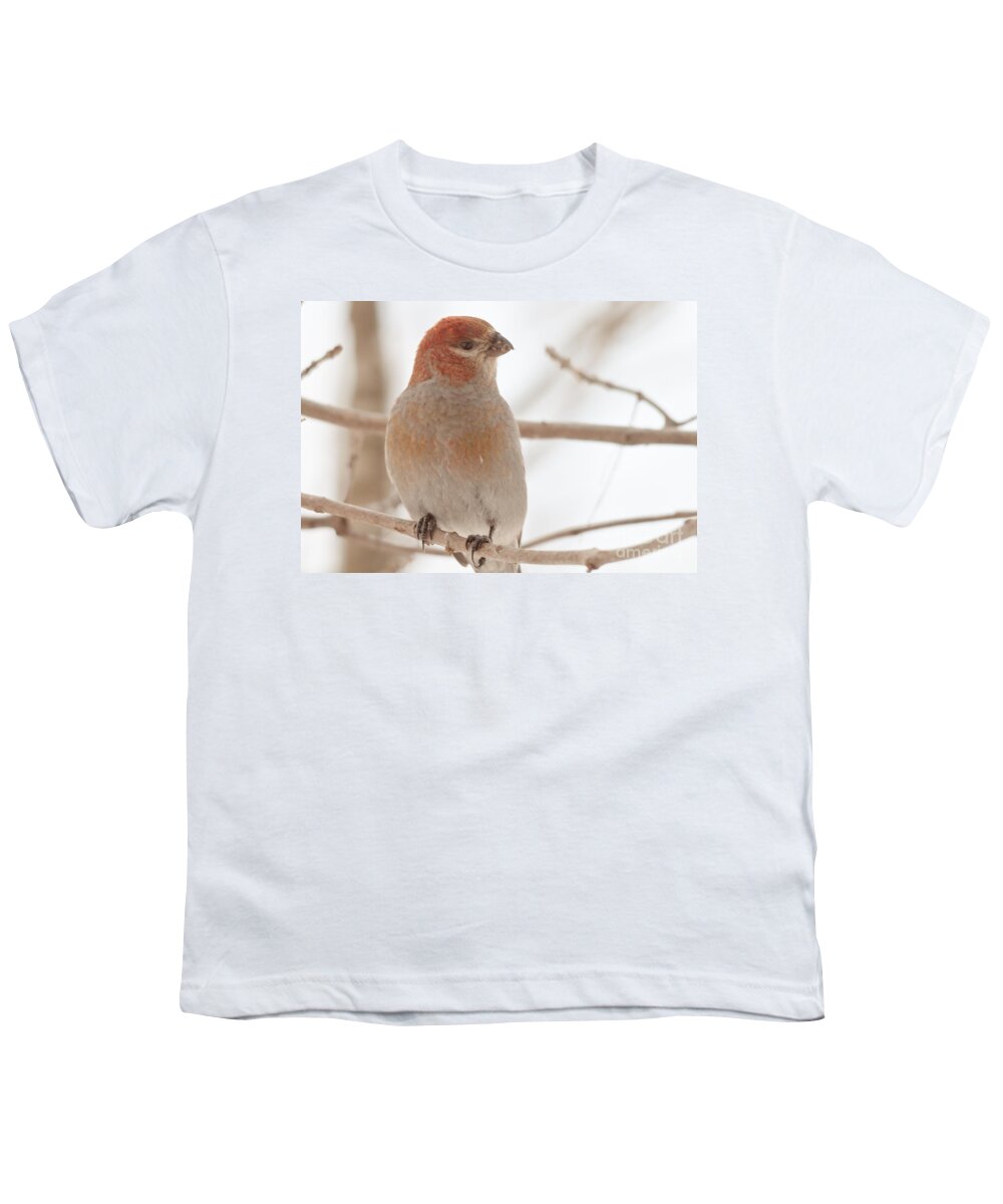  Youth T-Shirt featuring the photograph Pine Grosbeak by Cheryl Baxter