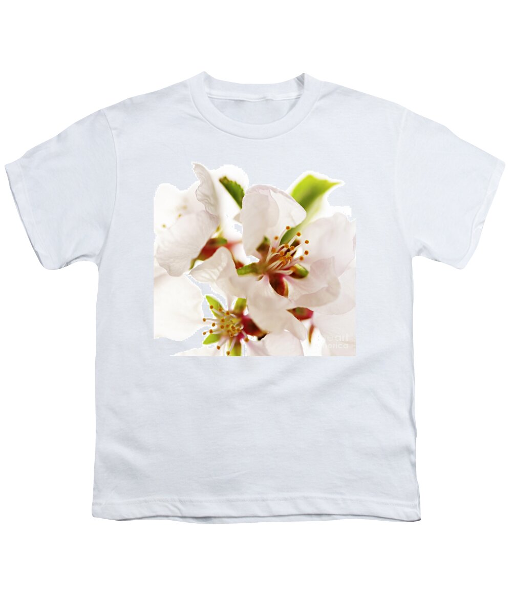 Blossom Youth T-Shirt featuring the photograph Pink blossom by Elena Elisseeva