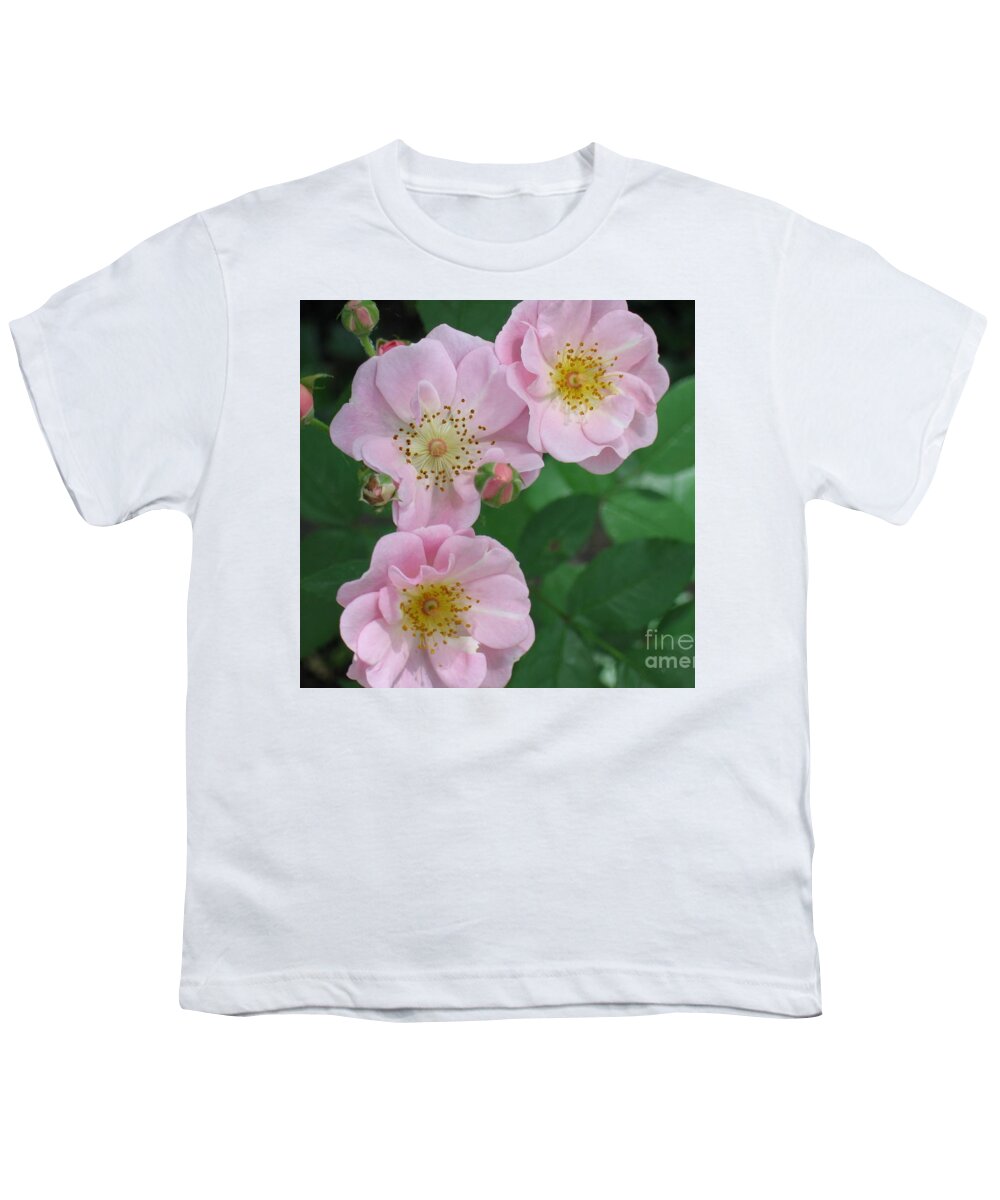 Knockout Roses Youth T-Shirt featuring the photograph Pink roses by HEVi FineArt