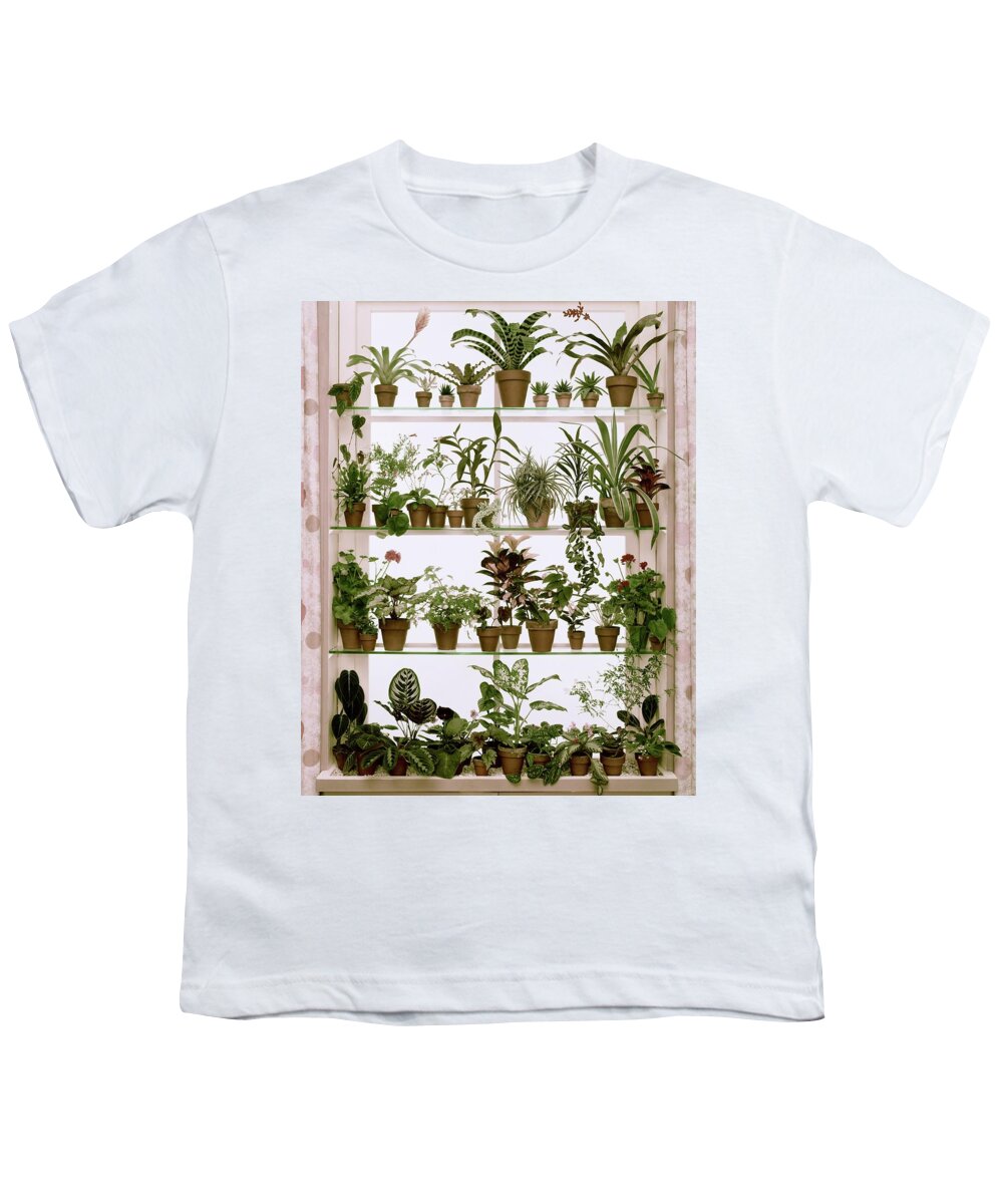 Plants Youth T-Shirt featuring the photograph Potted Plants On Shelves by Wiliam Grigsby