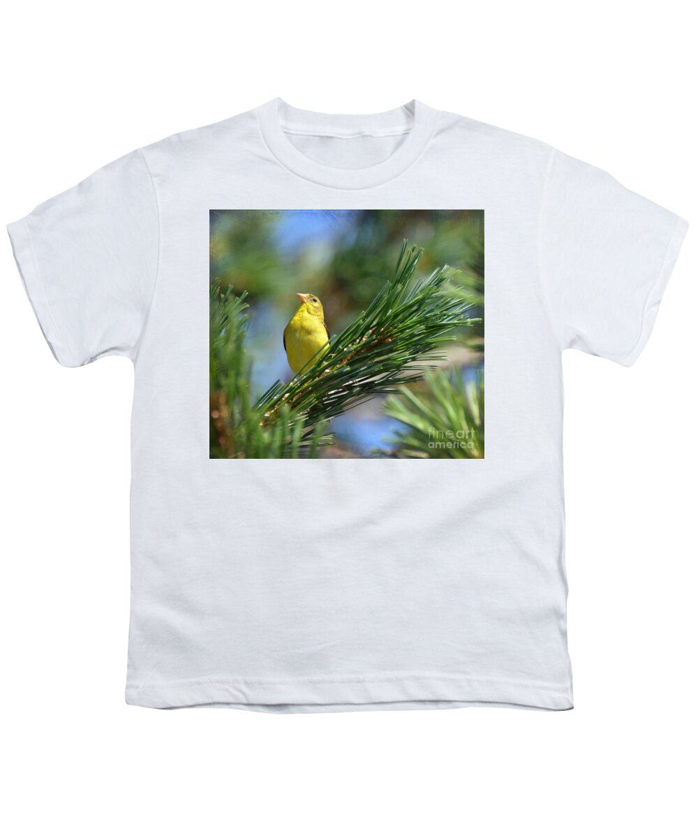 American Goldfinch Youth T-Shirt featuring the photograph Profile In the Pines by Kerri Farley