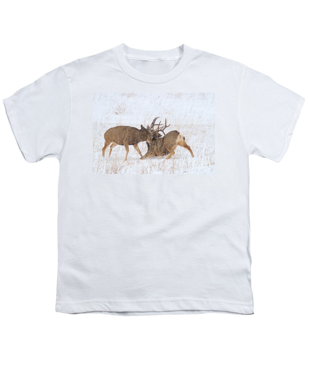 Mule Deer Buck Youth T-Shirt featuring the photograph Rubber Necking by Jim Garrison