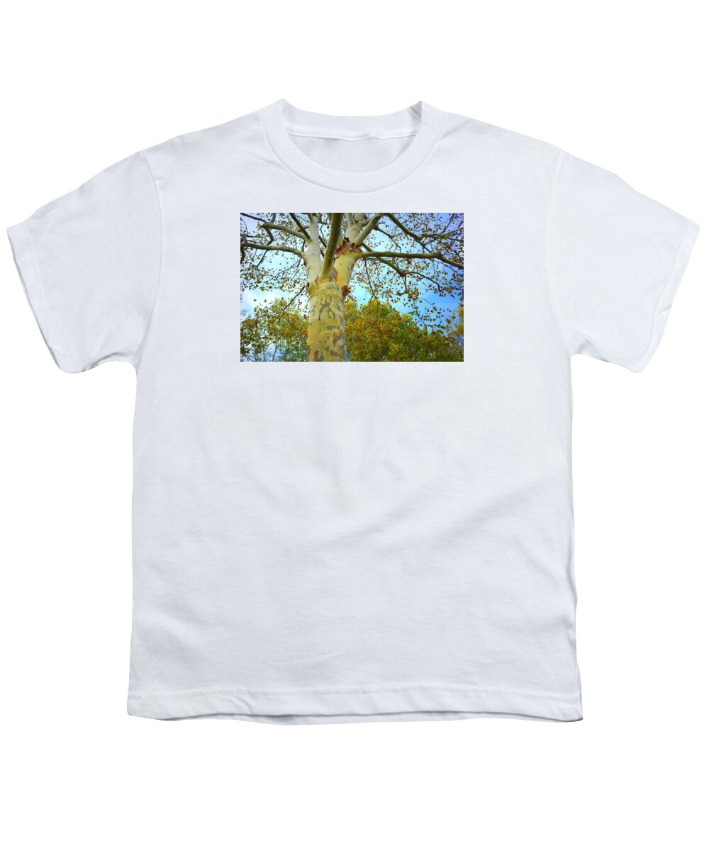 Sycamore Youth T-Shirt featuring the photograph Sky High by Kathy Barney