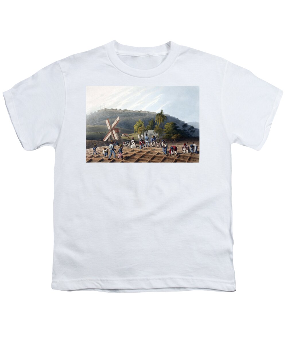 Slave Trade Youth T-Shirt featuring the photograph Slaves Planting Sugar Cane, 19th Century by British Library