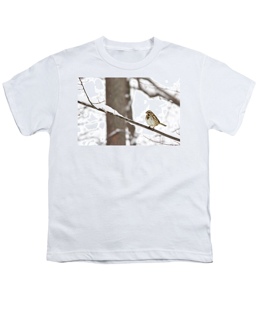 Song Sparrow In Snow Youth T-Shirt featuring the photograph Song Sparrow in Snow by Jemmy Archer