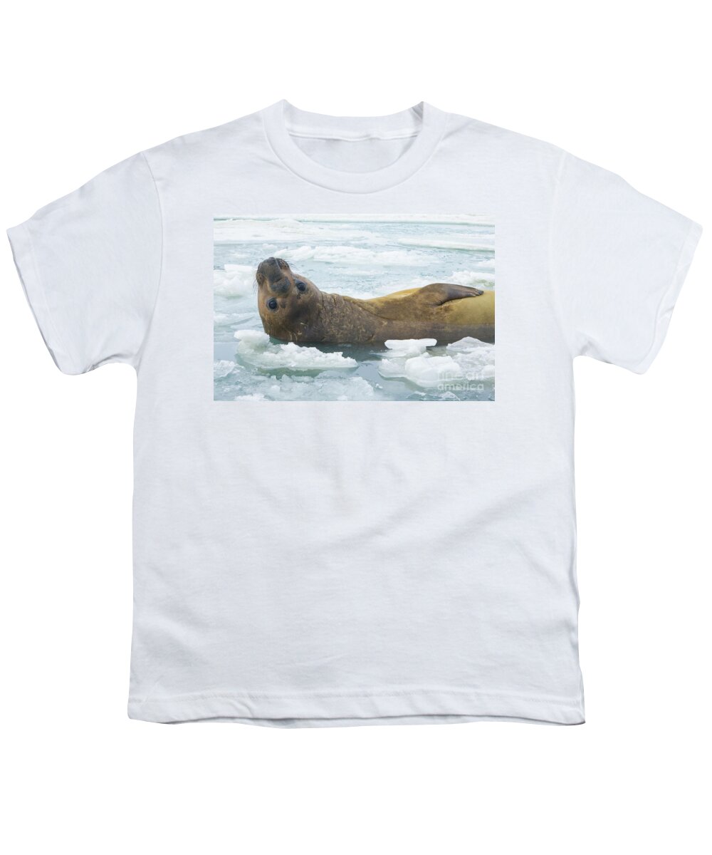 00345893 Youth T-Shirt featuring the photograph Southern Elephant Seal Reclining by Yva Momatiuk John Eastcott