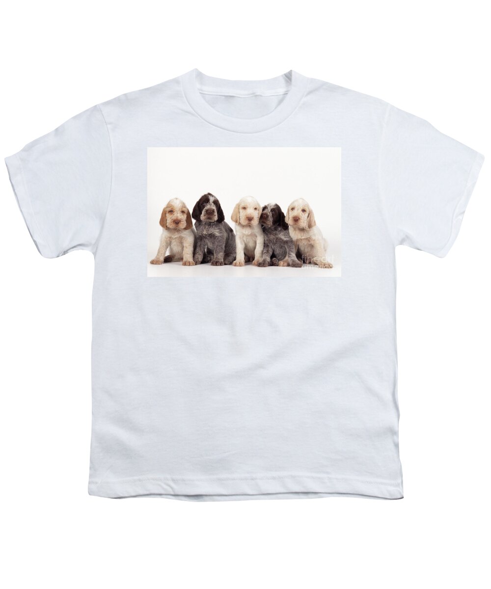 Dog Youth T-Shirt featuring the photograph Spinone Puppy Dogs by John Daniels