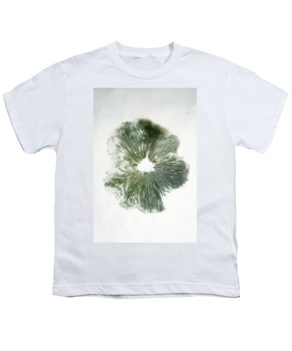 Green Spored Parasol Youth T-Shirt featuring the photograph Spore Print Of Mushroom by Scott Camazine