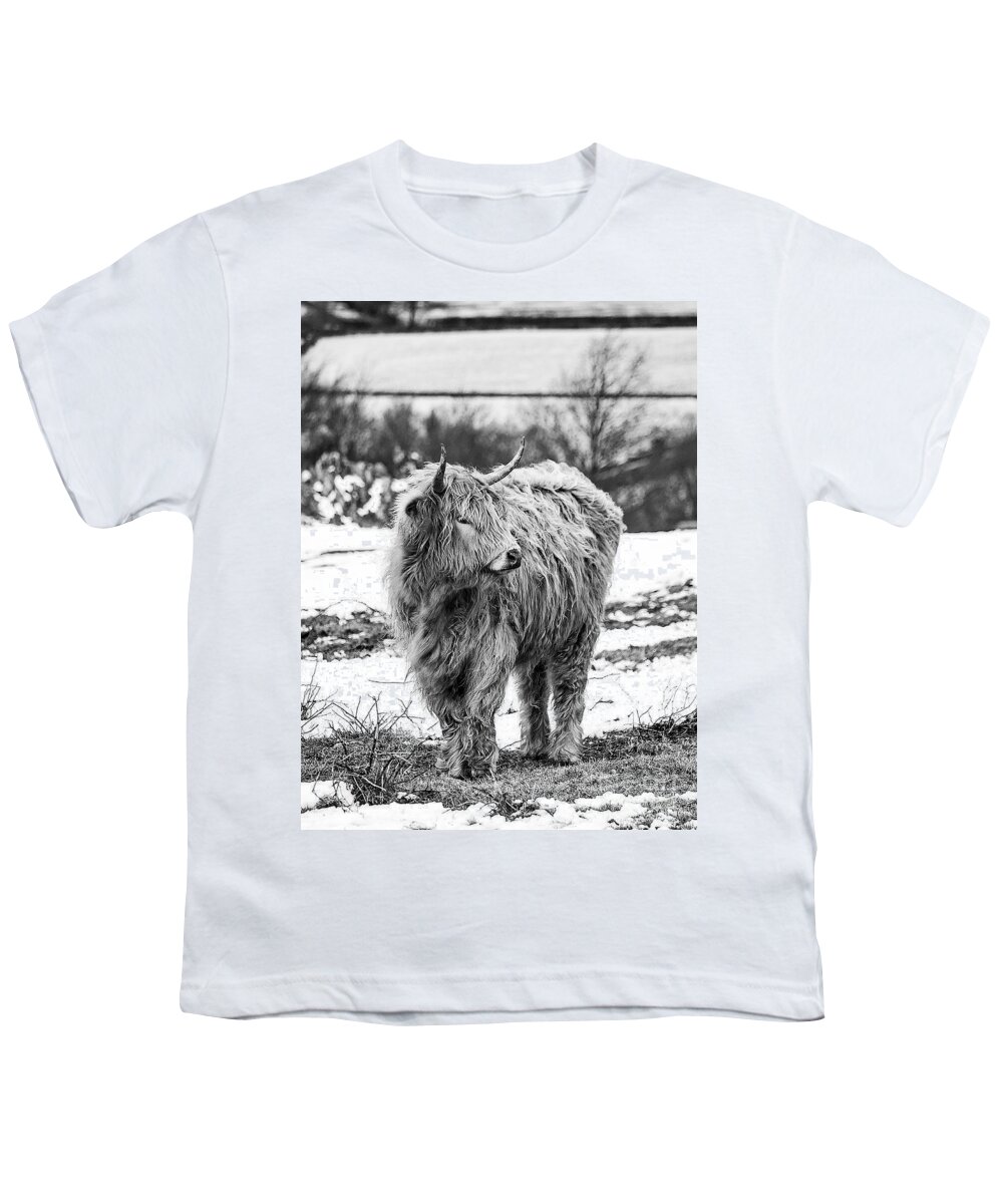 Cow Youth T-Shirt featuring the photograph The Highland Cow Black And White by Linsey Williams