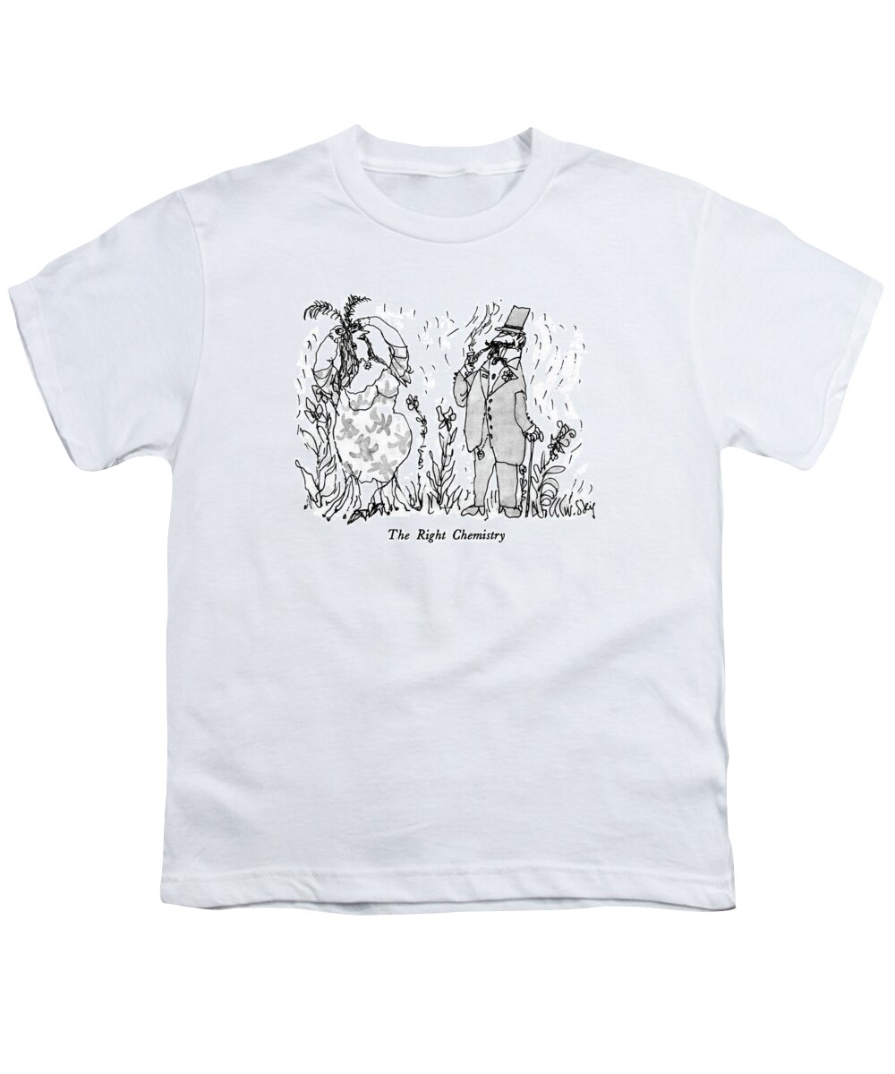 The Right Chemistry

The Right Chemistry.title.man And Woman Standing Youth T-Shirt featuring the drawing The Right Chemistry by William Steig