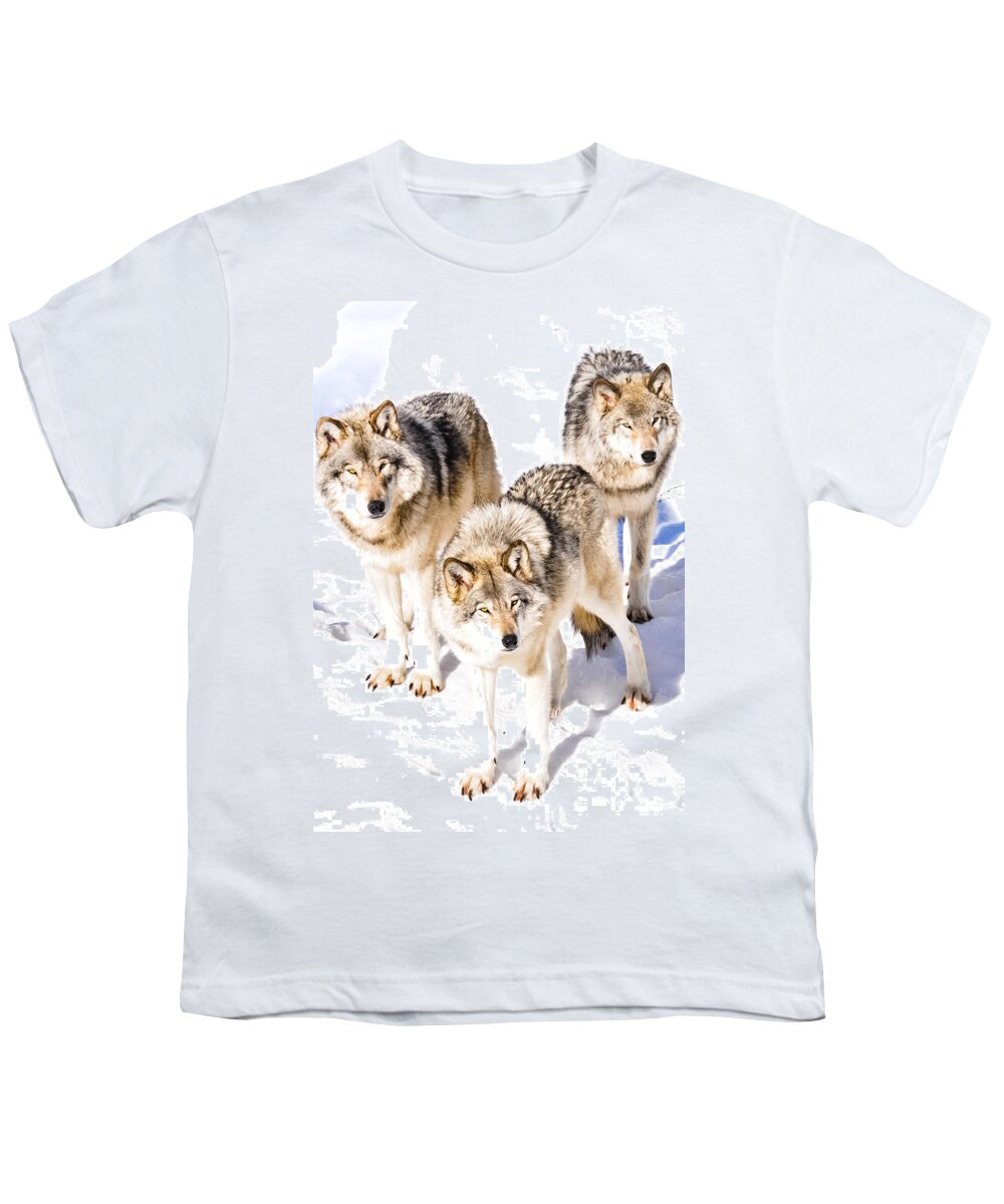 Wolves Youth T-Shirt featuring the photograph Three Timber Wolves by Cheryl Baxter