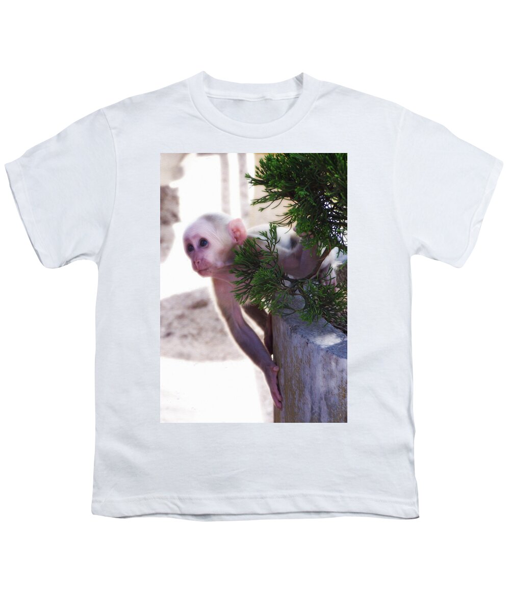 Tibetan Macaques Youth T-Shirt featuring the photograph Tibetan Macaques by Tracy Winter