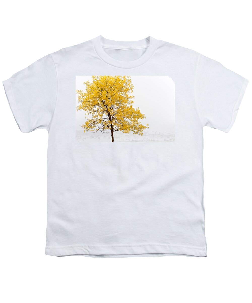 Autumn Youth T-Shirt featuring the photograph Tree #1 by U Schade