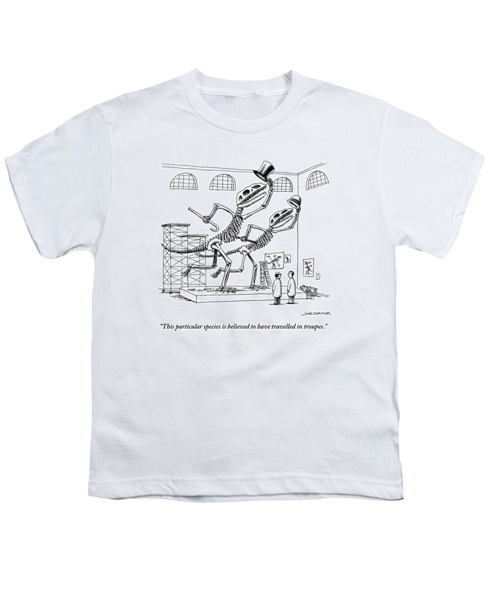 This Particular Species Is Believed To Have Travelled In Troupes. Youth T-Shirt featuring the drawing Two Dinosaur Skeletons At A Museum by Joe Dator