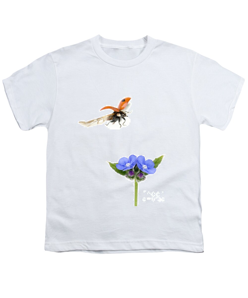 Two-spot Ladybug Youth T-Shirt featuring the photograph Two Spot Ladybug by Mark Bowler