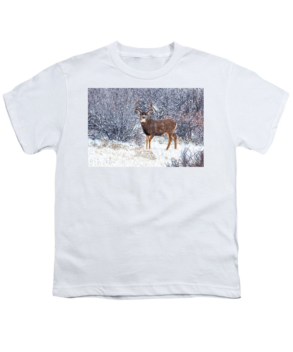  River Youth T-Shirt featuring the photograph Winter Buck by Darren White