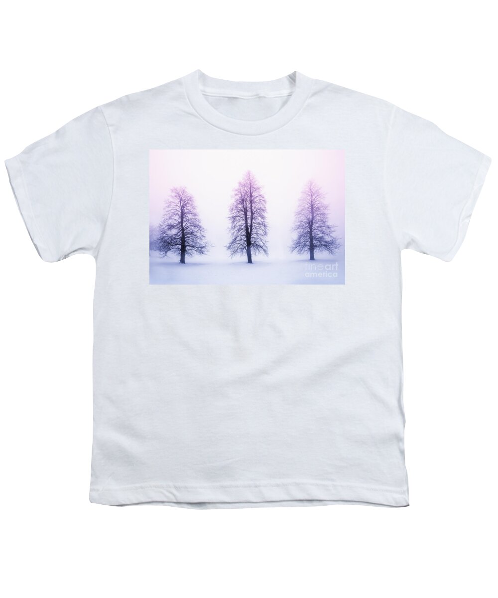 Trees Youth T-Shirt featuring the photograph Winter trees in fog at sunrise by Elena Elisseeva