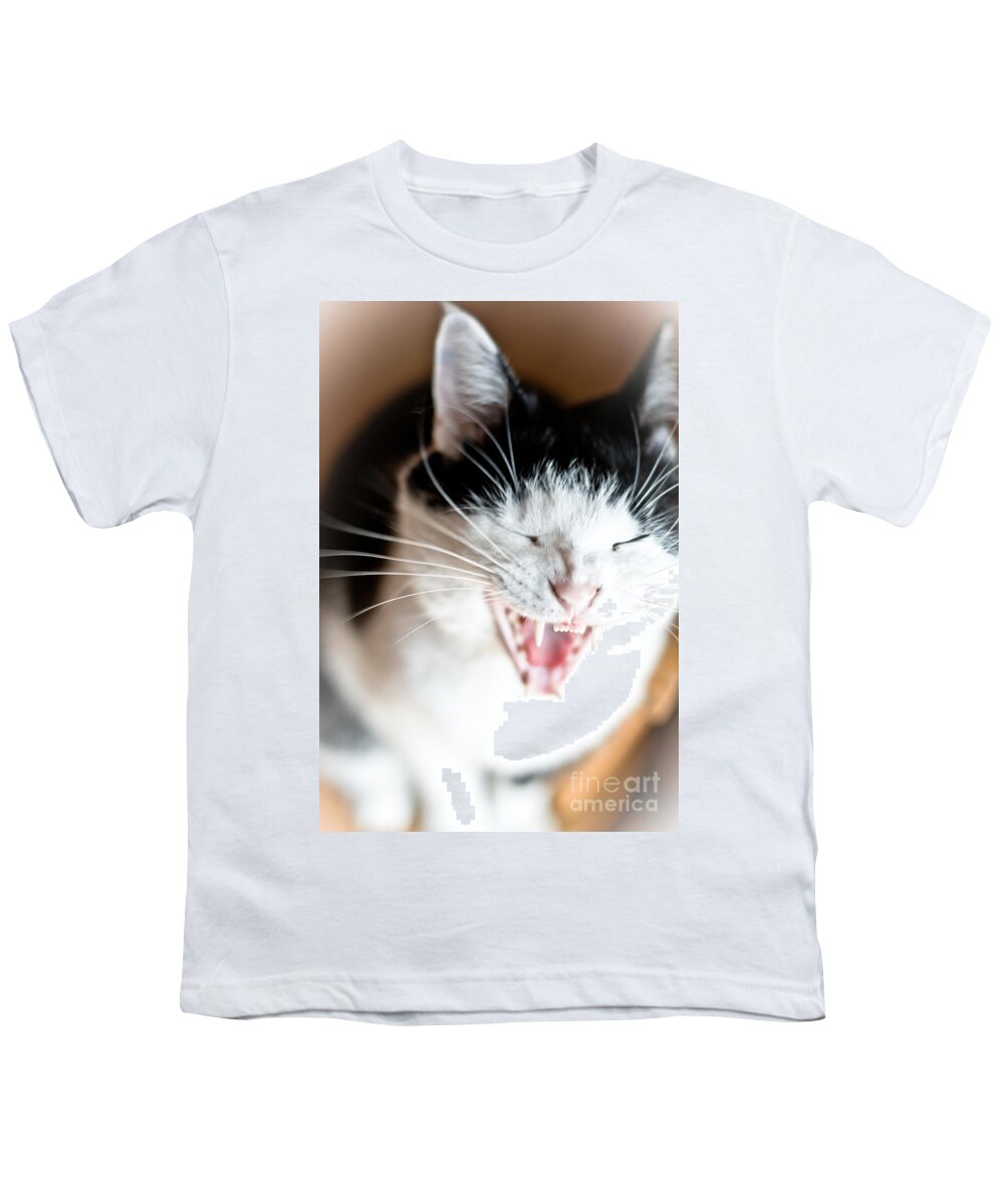 Cats Youth T-Shirt featuring the photograph Yawn by Cheryl Baxter