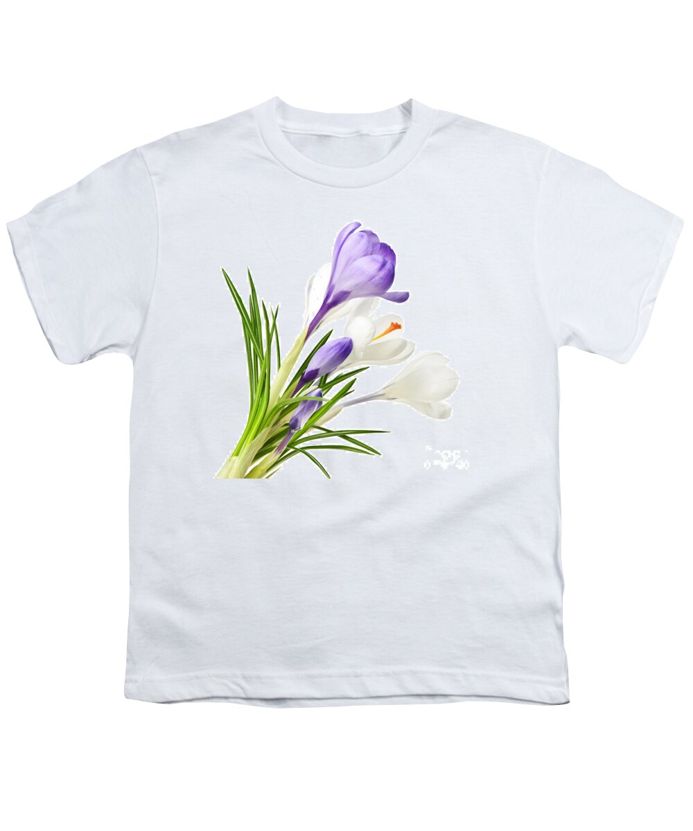 Flowers Youth T-Shirt featuring the photograph Spring crocus flowers by Elena Elisseeva