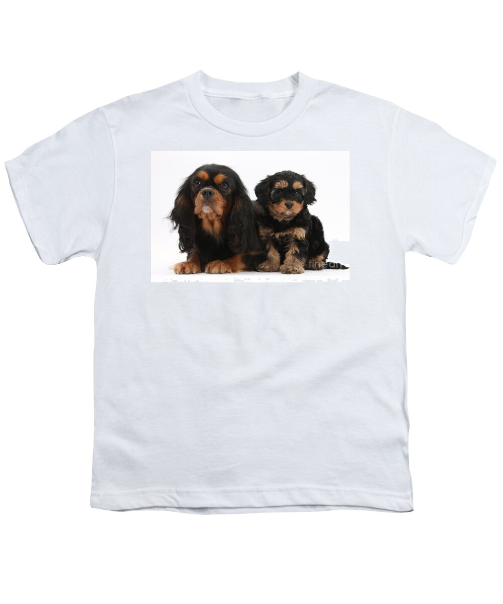 Animal Youth T-Shirt featuring the photograph Cavalier King Charles Spaniel #4 by Mark Taylor