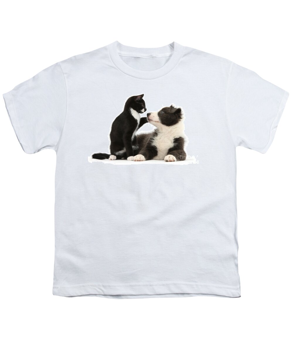 Nature Youth T-Shirt featuring the photograph Border Collie Pup And Tuxedo Kitten by Mark Taylor