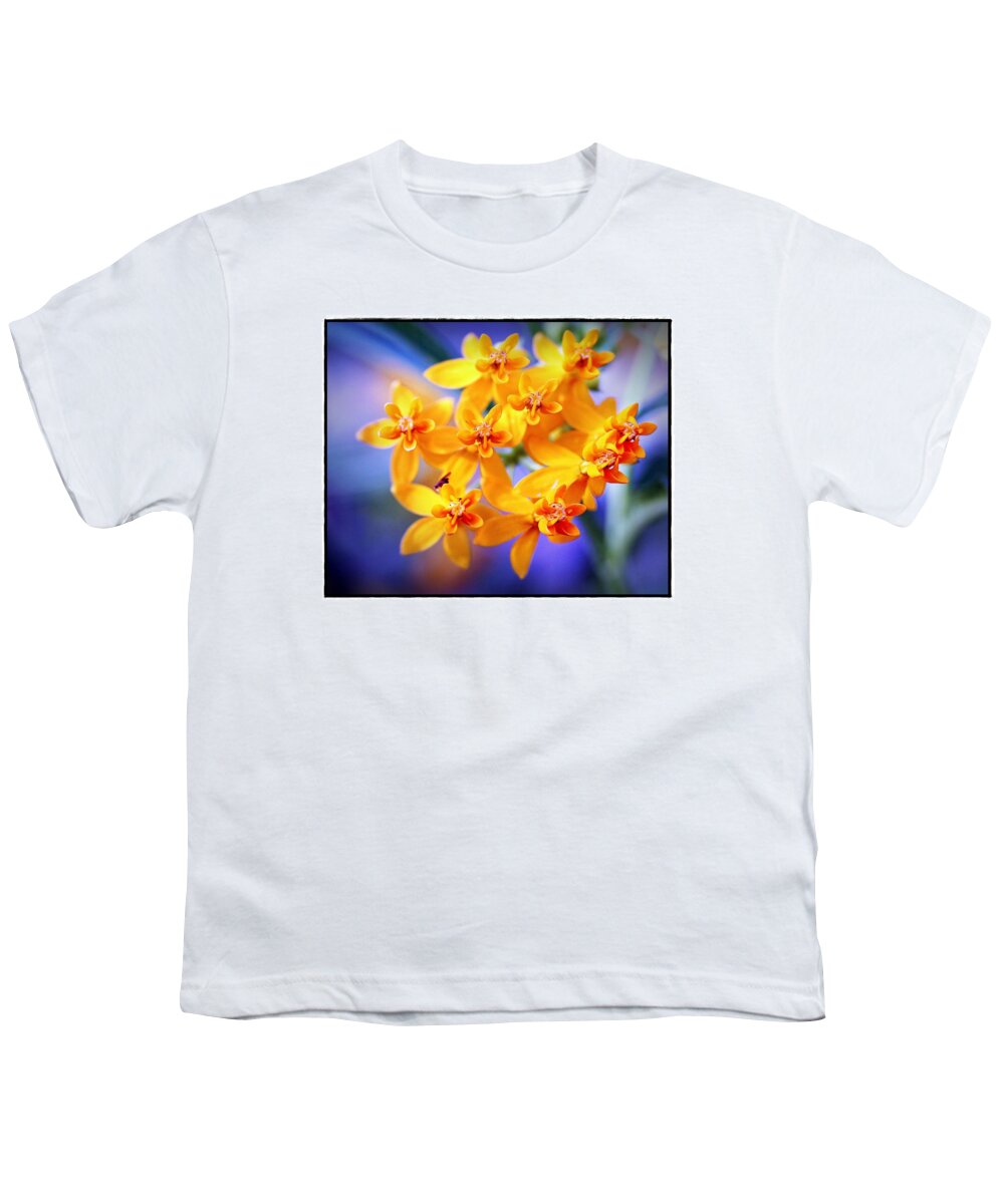 Butterfly Weed Youth T-Shirt featuring the photograph Butterfly Weed by Judi Bagwell