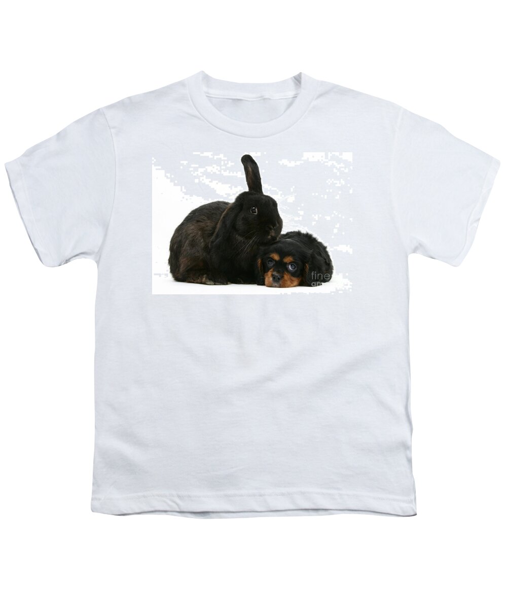 Nature Youth T-Shirt featuring the photograph Cavalier King Charles Spaniel And Rabbit by Mark Taylor