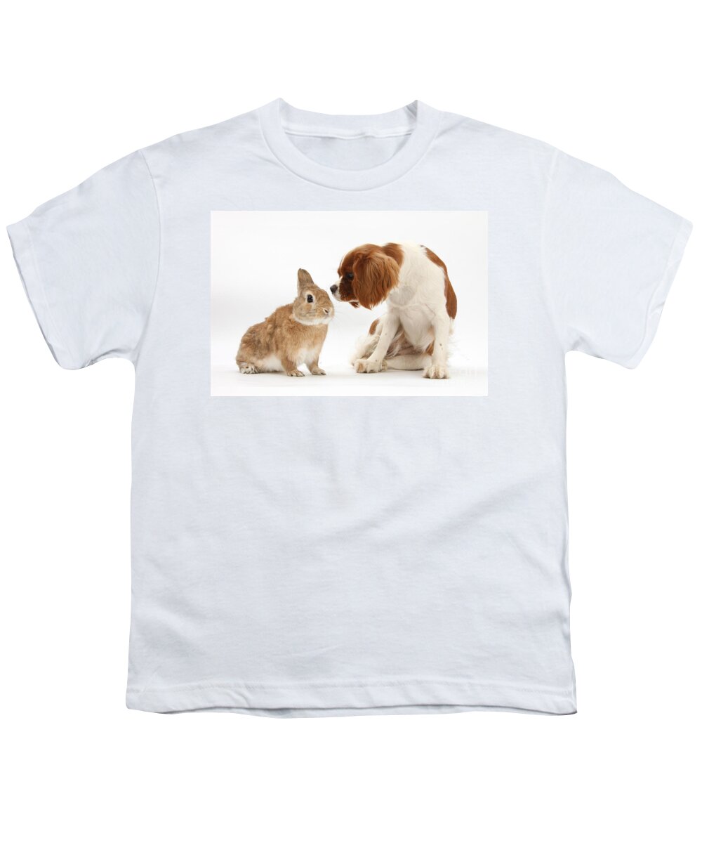 Nature Youth T-Shirt featuring the photograph Cavalier King Charles Spaniel by Mark Taylor