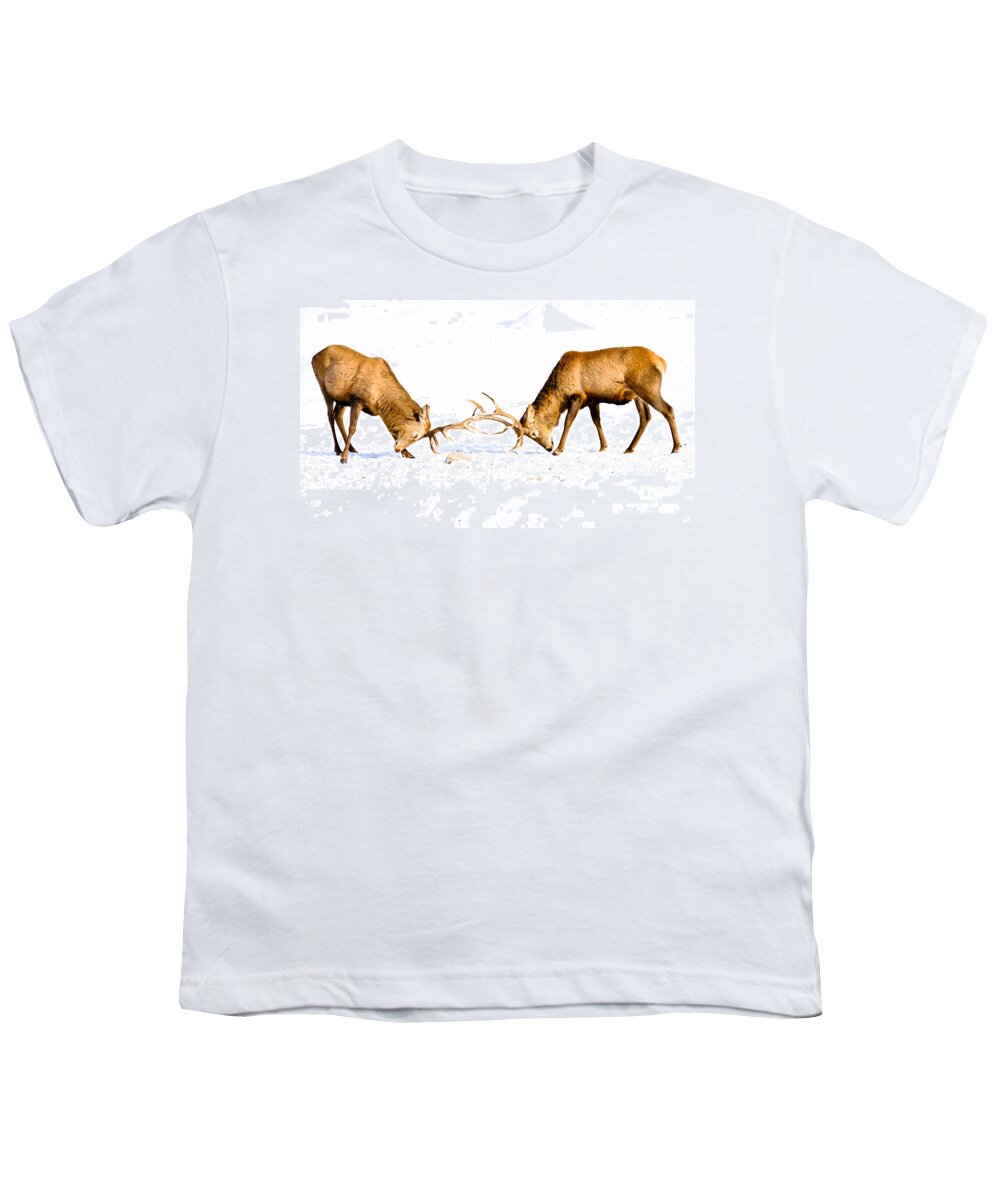 Wapiti Youth T-Shirt featuring the photograph Horns a Plenty by Cheryl Baxter