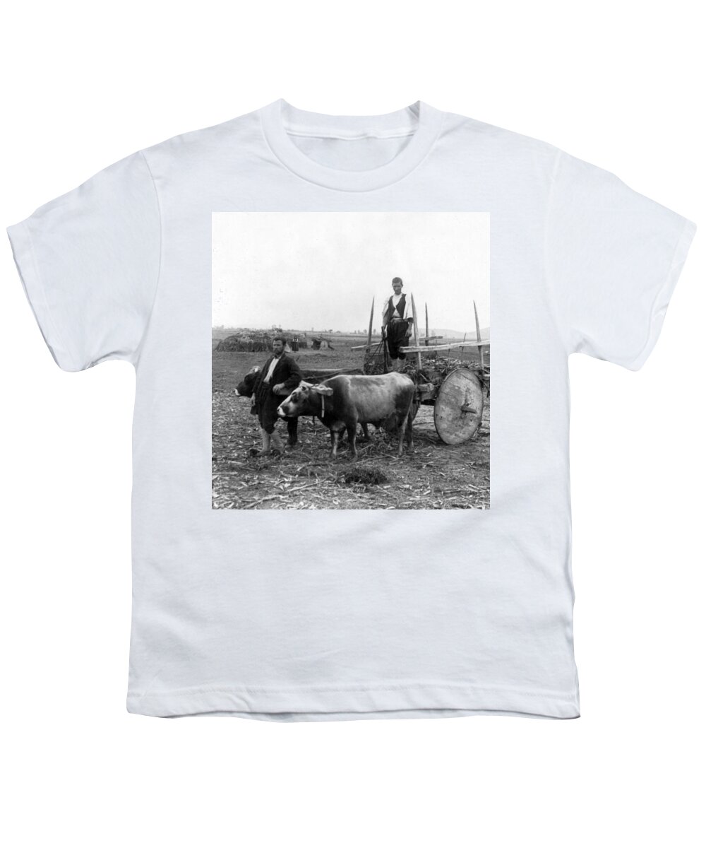 Greece Youth T-Shirt featuring the photograph Rural Greece - Farm Scene - c 1903 by International Images
