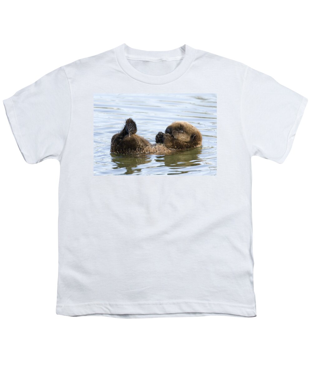 00429679 Youth T-Shirt featuring the photograph Sea Otter Pup Elkhorn Slough Monterey by Sebastian Kennerknecht