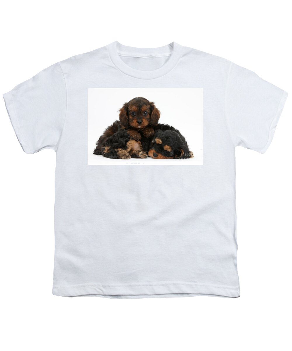 Dog Youth T-Shirt featuring the photograph Sleepy Cavapoo Pups by Mark Taylor