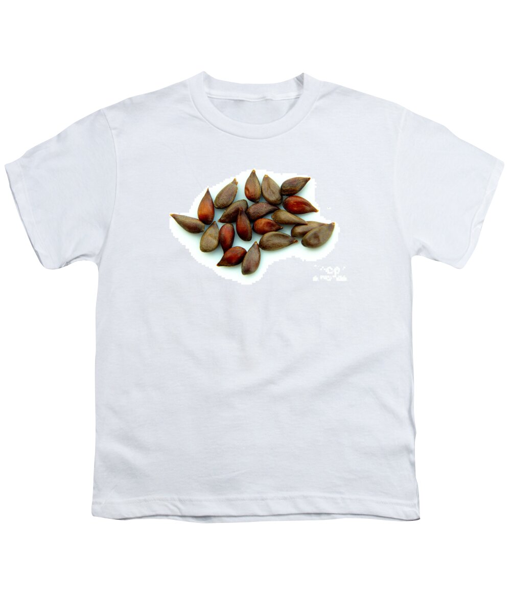 Appleseeds Youth T-Shirt featuring the photograph Apple Seeds #1 by Scimat