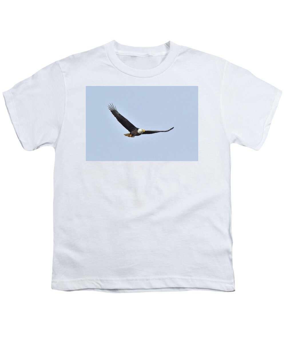 Bird Youth T-Shirt featuring the photograph Bald Eagle #1 by Alan Lenk