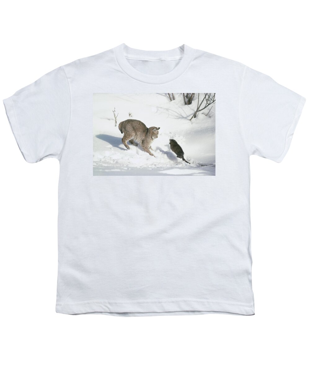 Mp Youth T-Shirt featuring the photograph Bobcat Lynx Rufus Hunting Muskrat #1 by Michael Quinton