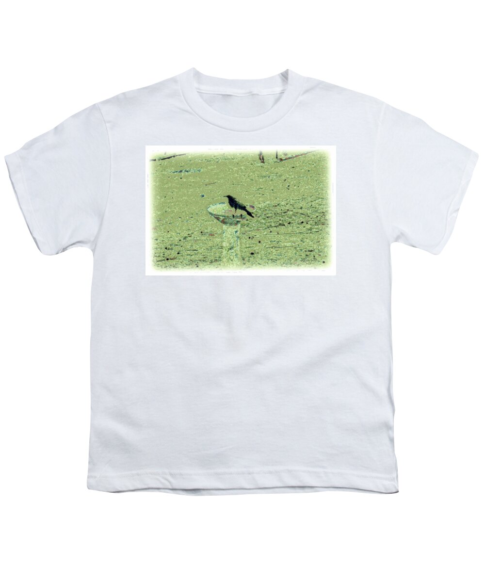 Crow Youth T-Shirt featuring the mixed media Crow and Bath #1 by YoMamaBird Rhonda