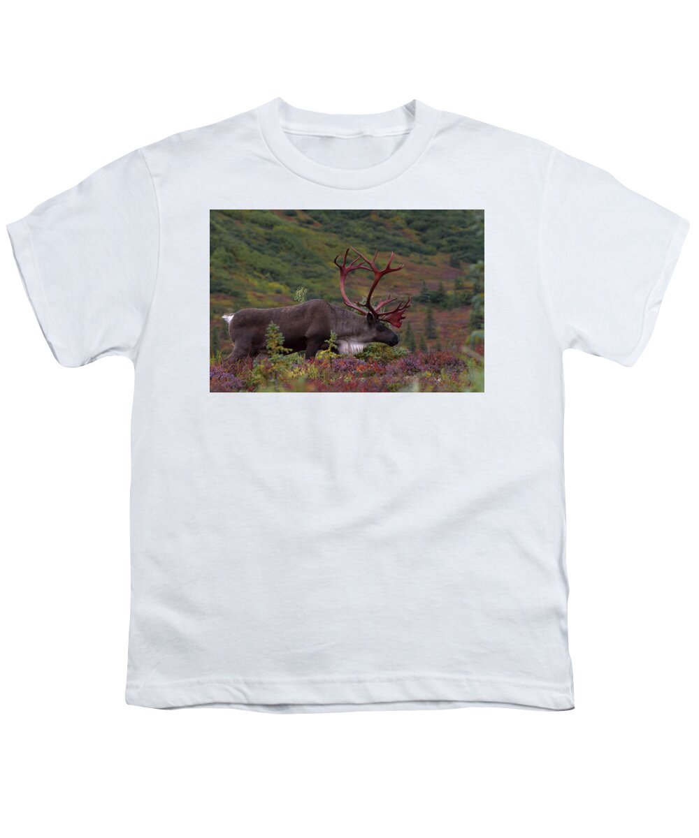 Alaska Youth T-Shirt featuring the photograph Denali Caribou Herd #1 by Scott Slone