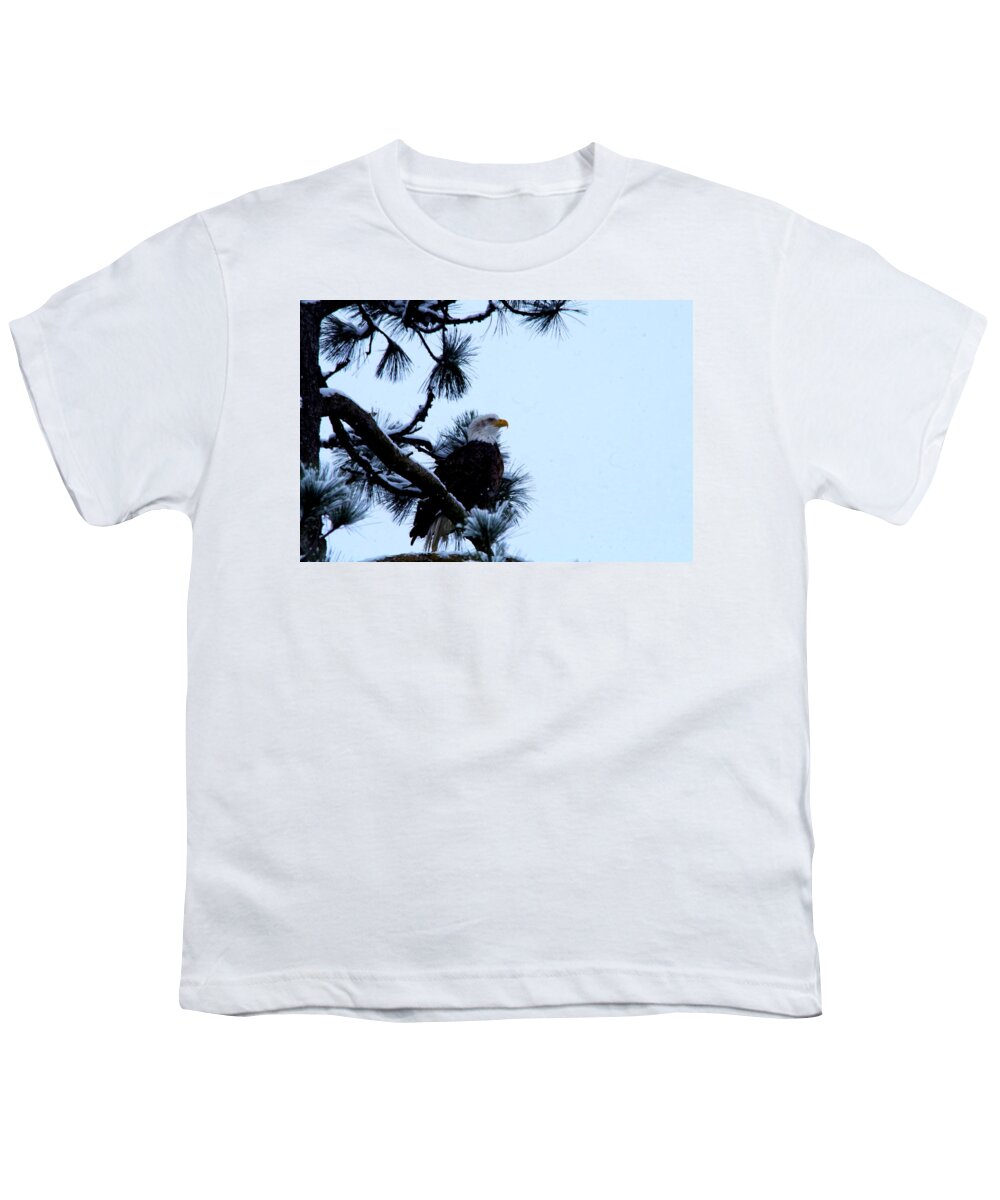 Eagle Youth T-Shirt featuring the photograph Eagle in a frosted tree #1 by Jeff Swan