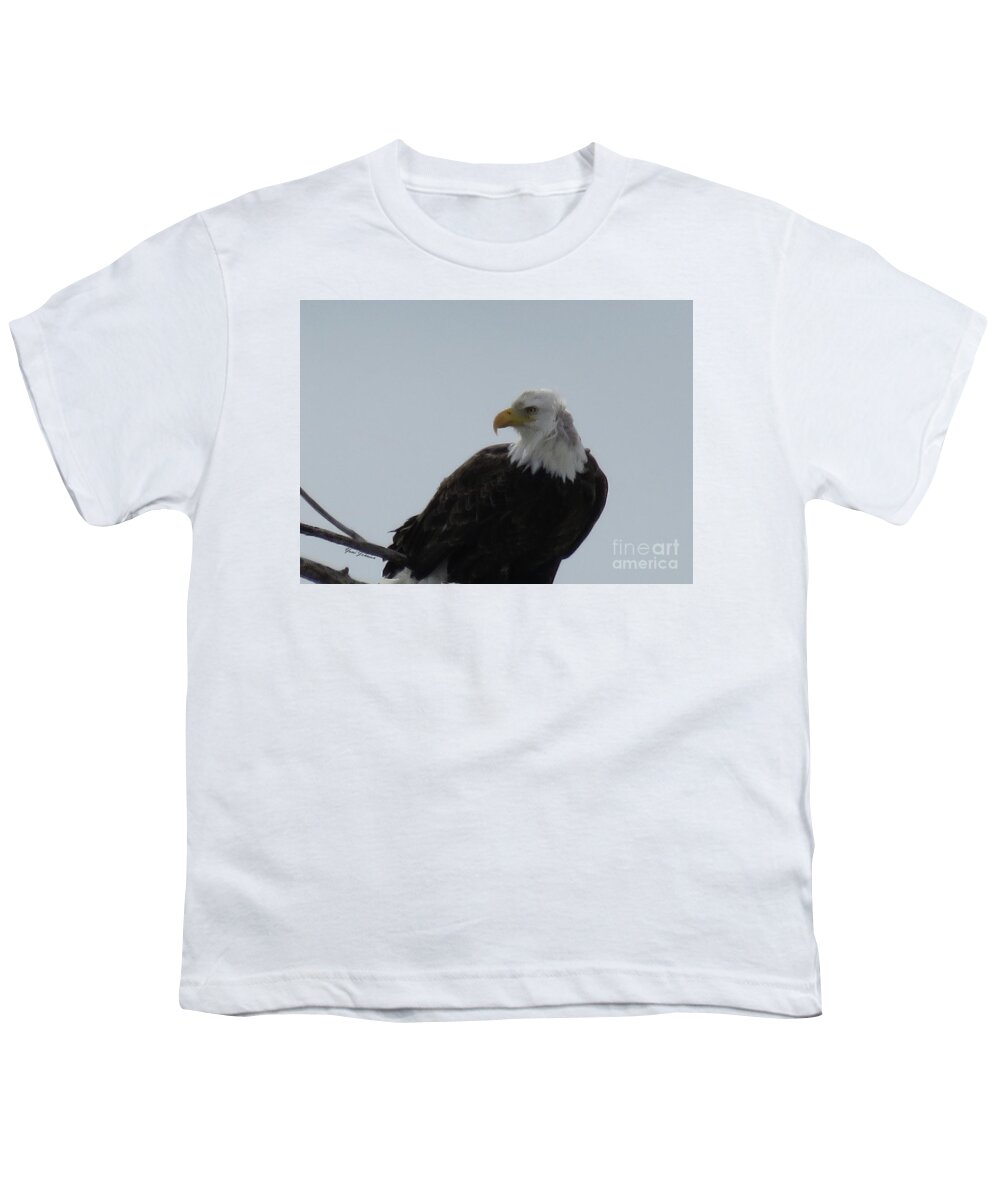 Bold Eagle Youth T-Shirt featuring the photograph Eye on you by Yumi Johnson