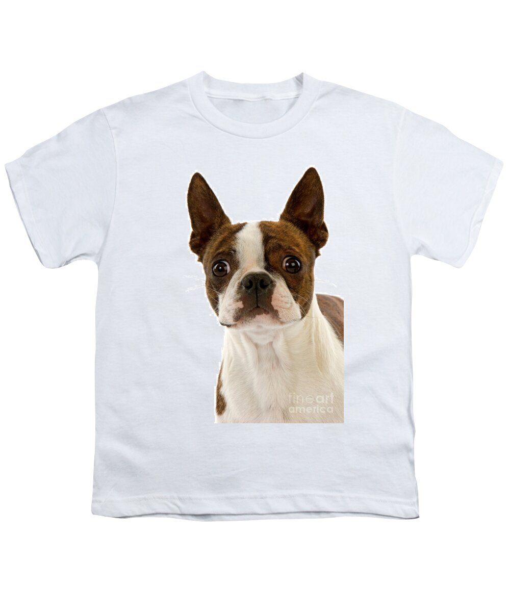 Adult Youth T-Shirt featuring the photograph Boston Terrier Dog #11 by Gerard Lacz
