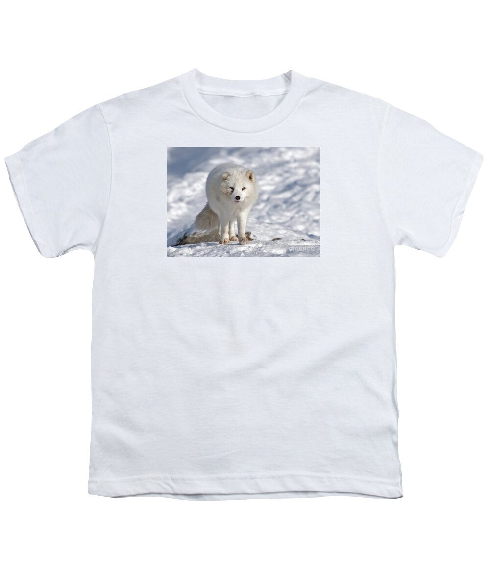 Nina Stavlund Youth T-Shirt featuring the photograph Arctic Fox... #1 by Nina Stavlund