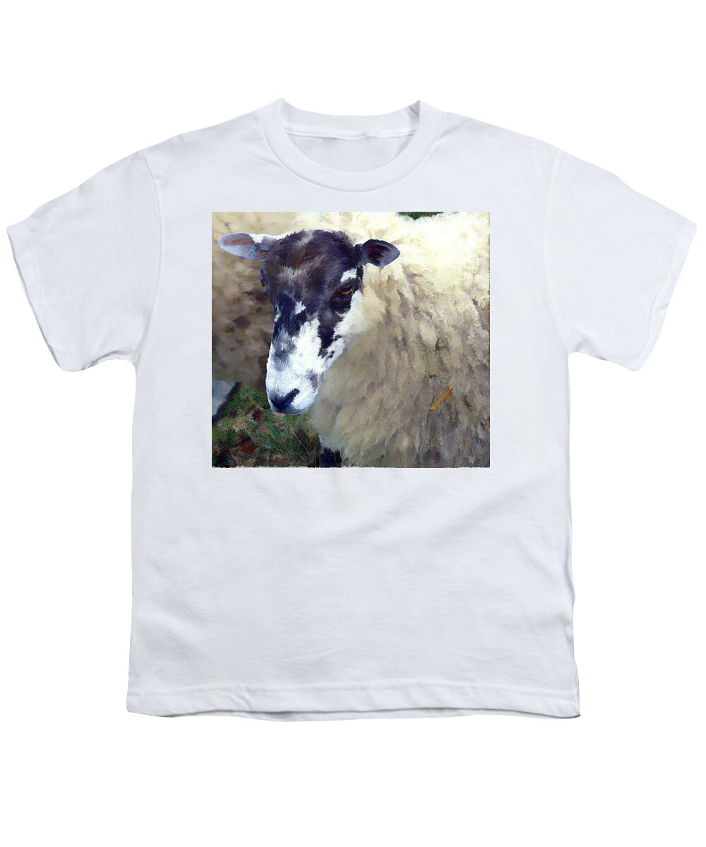 Sheep Youth T-Shirt featuring the photograph Old Deuteronomy #2 by Mindy Newman