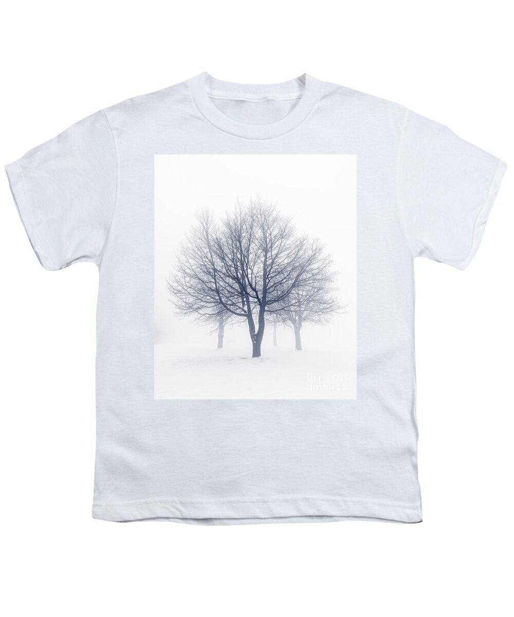 Trees Youth T-Shirt featuring the photograph Winter trees in fog 8 by Elena Elisseeva
