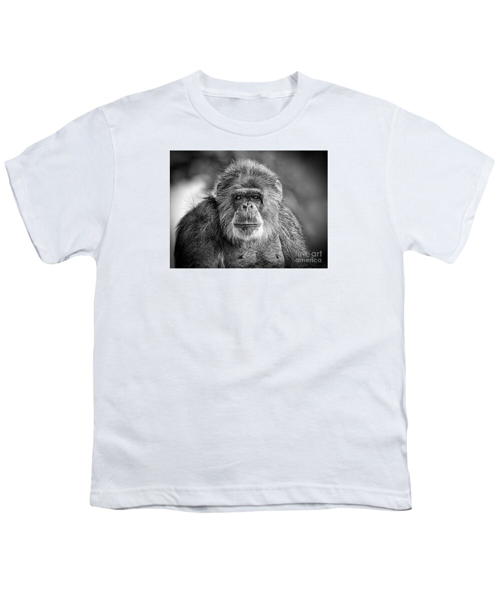 Portrait Of An Elderly Chimp Youth T-Shirt featuring the photograph Portrait of an Elderly Chimp #3 by Jim Fitzpatrick