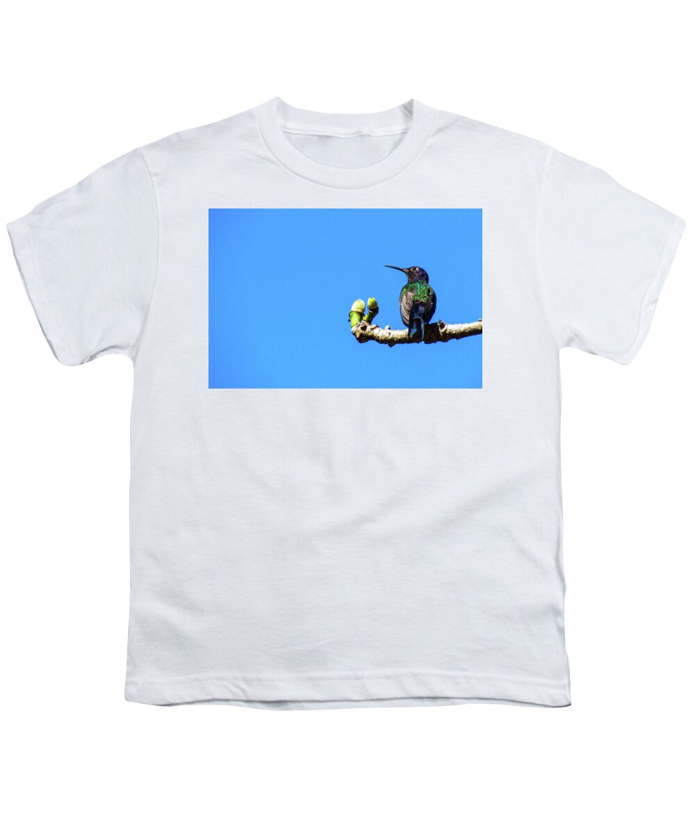 Bird Youth T-Shirt featuring the photograph Hummingbird #9 by Cesar Vieira