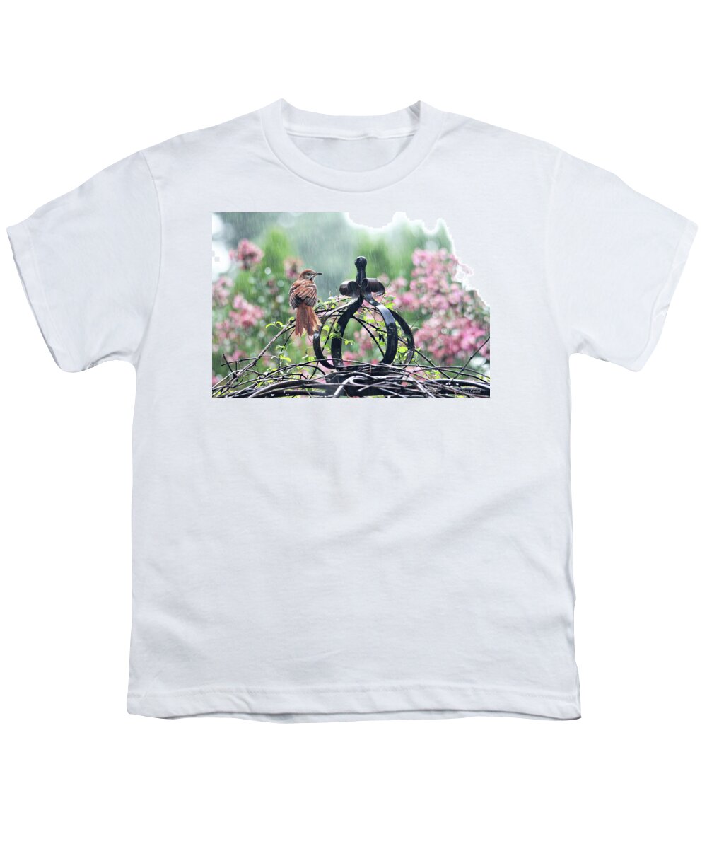 Birds Youth T-Shirt featuring the photograph A Rainy Summer Day by Trina Ansel